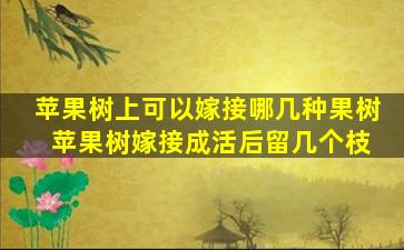 苹果树上可以嫁接哪几种果树 苹果树嫁接成活后留几个枝